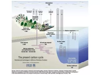 Oceanic Carbon Cycle