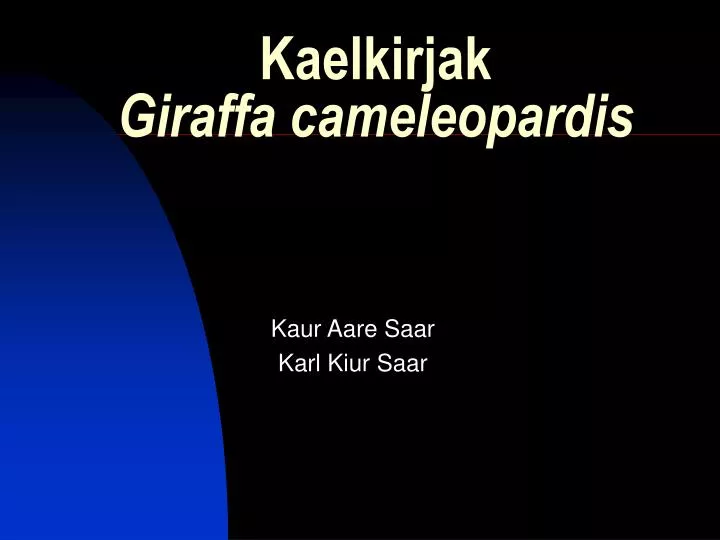 kaelkirjak giraffa cameleopardis