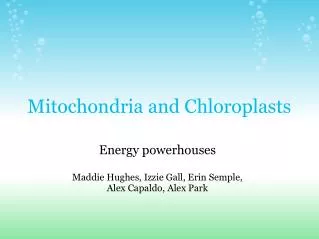 Mitochondria and Chloroplasts
