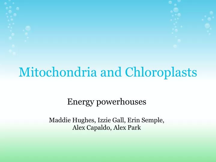 mitochondria and chloroplasts