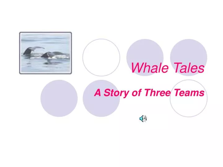 whale tales