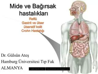 Mide ve Bağırsak hastalıkları Reflü Gastrit ve ülser ülseratif kolit Crohn Hastalığı