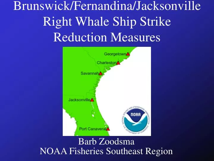brunswick fernandina jacksonville right whale ship strike reduction measures