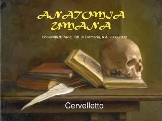 ANATOMIA UMANA