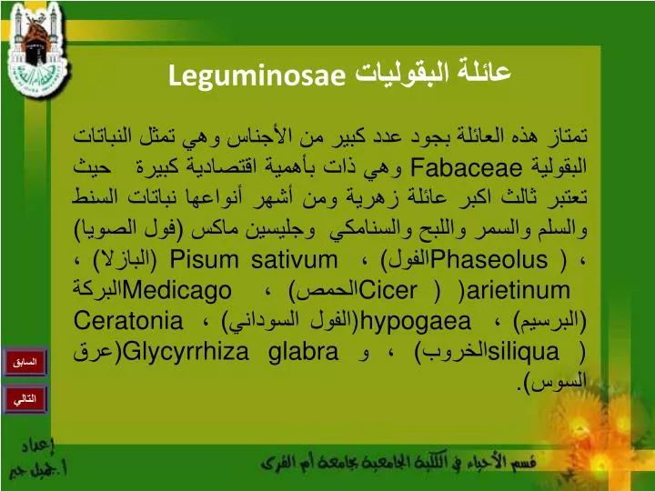 leguminosae