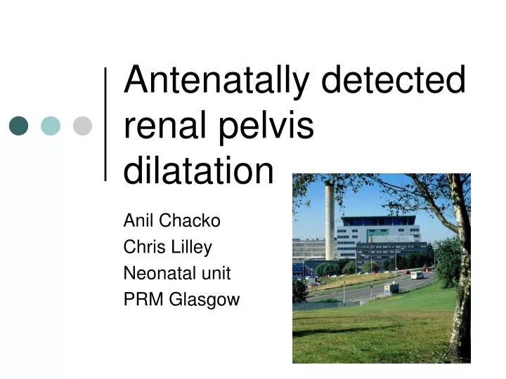 antenatally detected renal pelvis dilatation