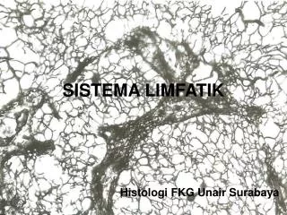 SISTEMA LIMFATIK