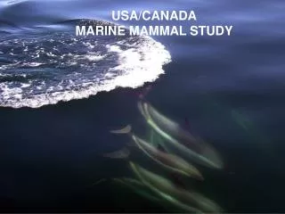 USA/CANADA MARINE MAMMAL STUDY