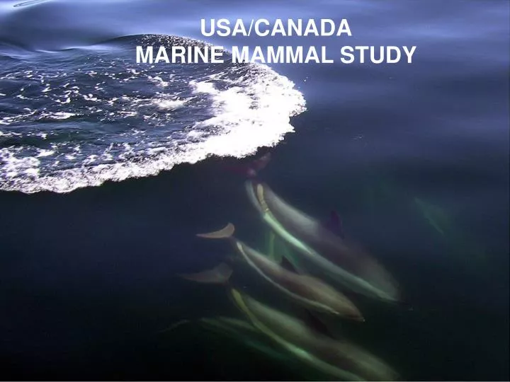usa canada marine mammal study
