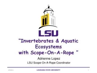 “Invertebrates &amp; Aquatic Ecosystems with Scope-On-A-Rope ”