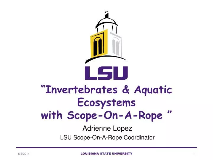 invertebrates aquatic ecosystems with scope on a rope