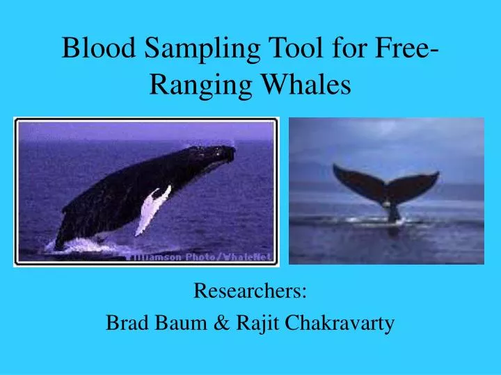 blood sampling tool for free ranging whales