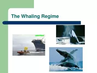The Whaling Regime