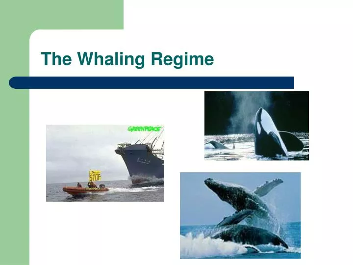 the whaling regime