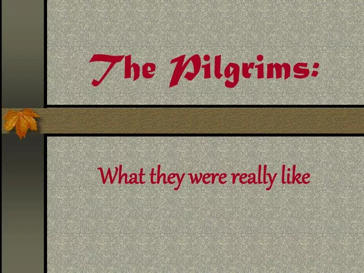 the pilgrims