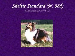 sheltie standard n 88d utols m dos t s 1987 04 24