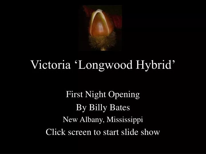 victoria longwood hybrid