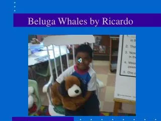 Beluga Whales by Ricardo