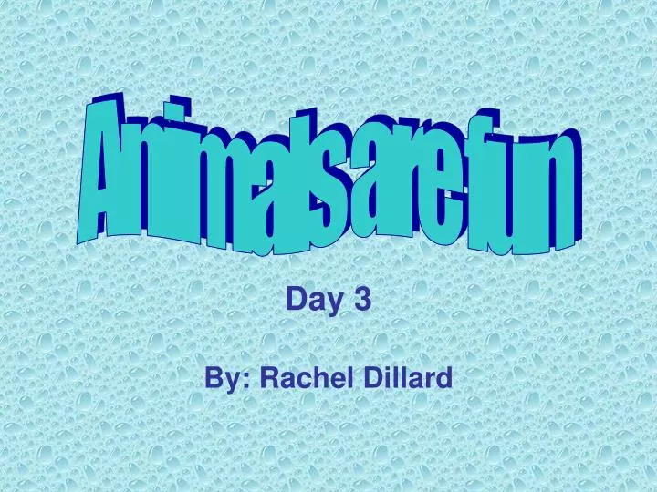 day 3 by rachel dillard