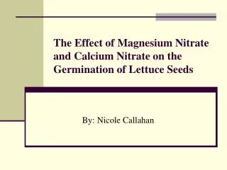 The Effect of Magnesium Nitrate and Calcium Nitrate on the Germination of Lettuce Seeds