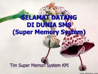 selamat datang di dunia sms super memory system