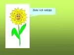 Zioła i ich rodzaje - slide 1