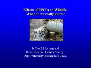 Effects of PPCPs on Wildlife: What do we really know?