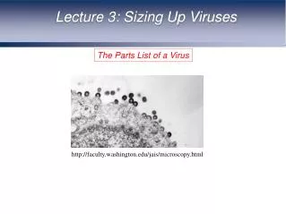 The Parts List of a Virus