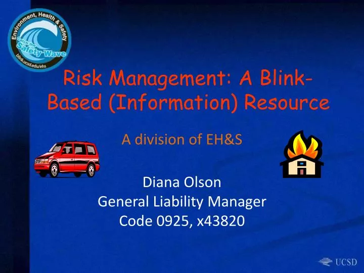 risk management a blink based information resource