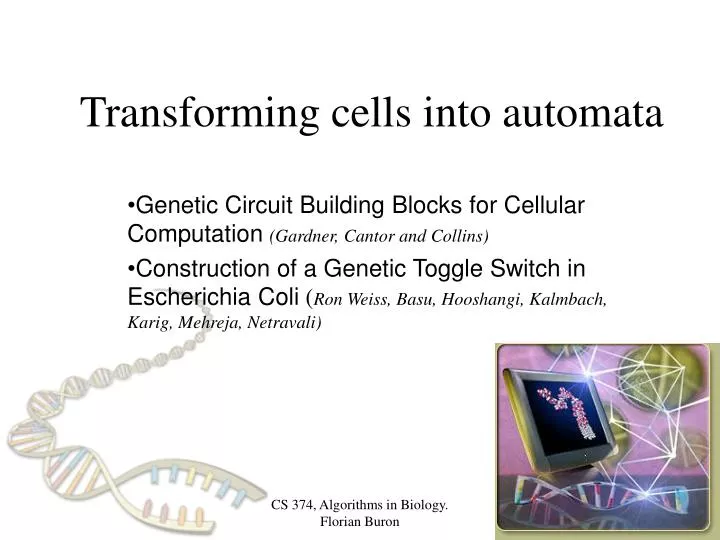transforming cells into automata