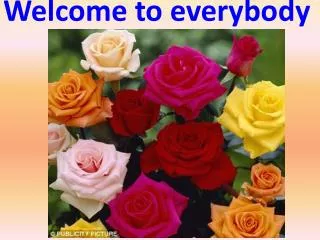 Welcome to everybody