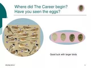 Where did The Career begin? Have you seen the eggs?