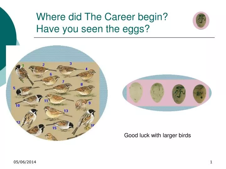 where did the career begin have you seen the eggs