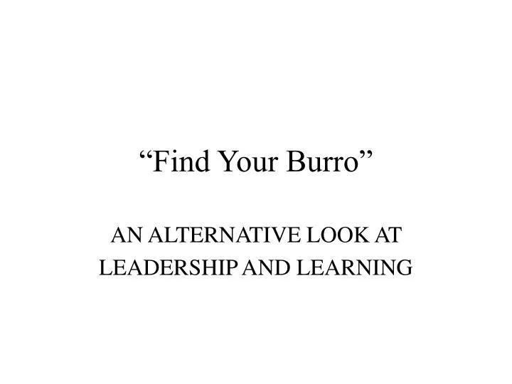 find your burro