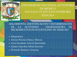 UNIVERSIDAD NACIONAL AUTONOMA DE MEXICO FACULTAD DE ESTUDIOS SUPERIORES IZTACALA