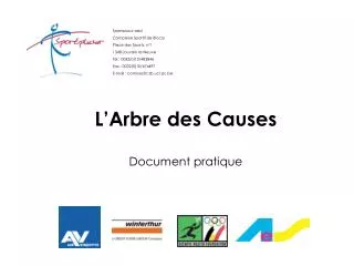 l arbre des causes document pratique