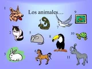 Los animales…