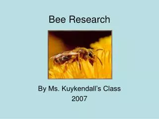 Bee Research