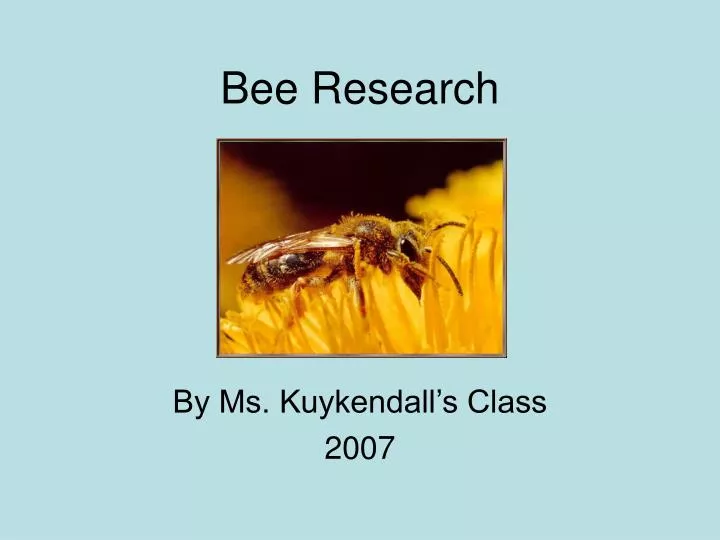 bee research