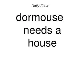 Daily Fix-It dormouse needs a house