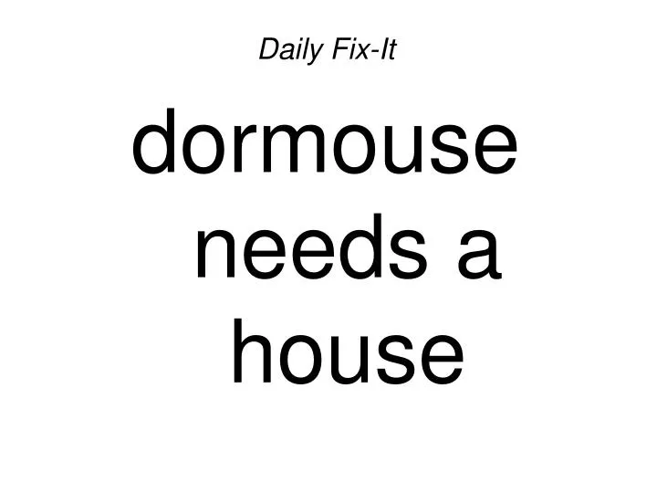 daily fix it dormouse needs a house