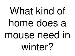 What kind of home does a mouse need in winter?