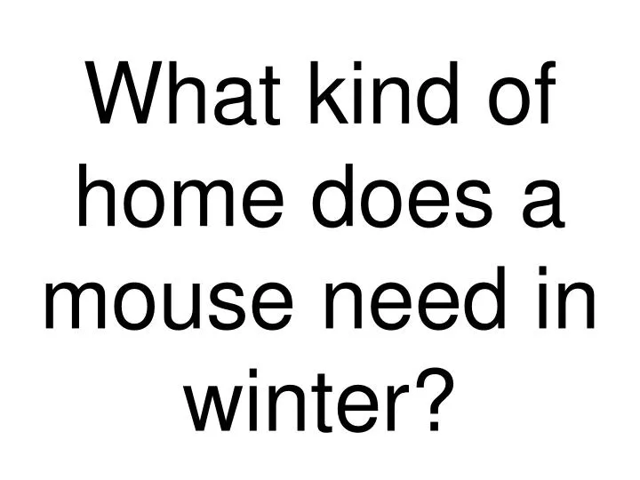 what kind of home does a mouse need in winter