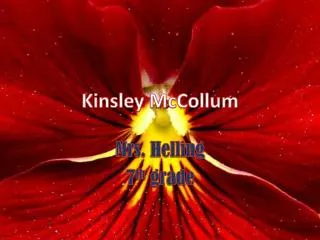 Kinsley McCollum