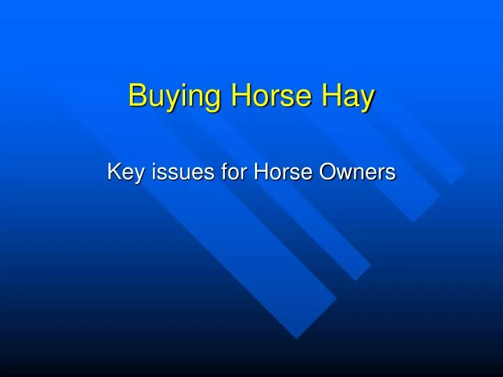 buying horse hay