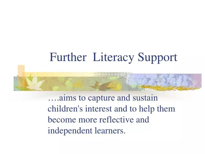 further literacy support