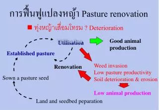 ????????????????? Pasture renovation