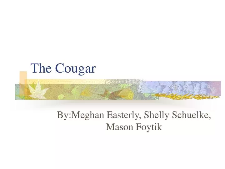 the cougar