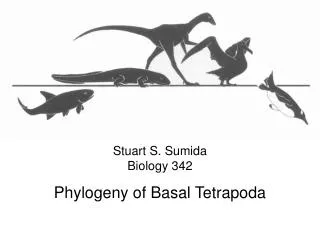 Stuart S. Sumida Biology 342 Phylogeny of Basal Tetrapoda