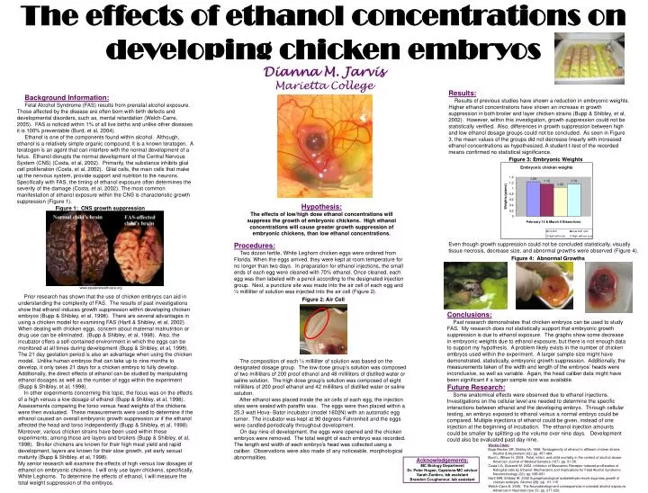 the effects of ethanol concentrations on developing chicken embryos